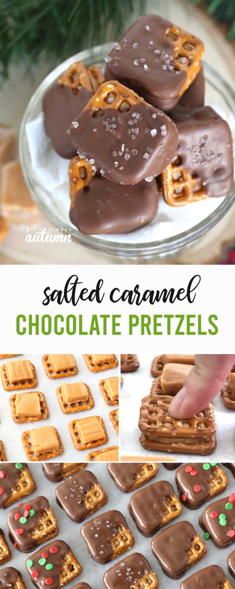 Salted Caramel Monster Bars, Baked Treats For Gifts, Pretzels With Caramel And Chocolate, Salted Caramel Treats, Salted Chocolate Caramel Pretzels, Best Christmas Treats Baking, Christmas Treats Packaging Ideas, Pretzel Dessert Christmas, Christmas Treat Recipes For Gifts