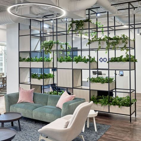 Custom steel tube space divide with laminate planter boxes and shelving in an office space Innovative Office Design Workspaces, Fun Office Design Work Spaces, Team Office, Brass Shelving, Stainless Steel Shelving, Space Divider, Space Dividers, Reception Furniture, Steel Shelving