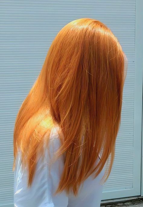 Unicorn Hair Color, Hair Tint, Ginger Hair Color, Hair Color Auburn, Copper Hair, Dye My Hair, Hair Dye Colors, Hair Reference, Hair Inspiration Color