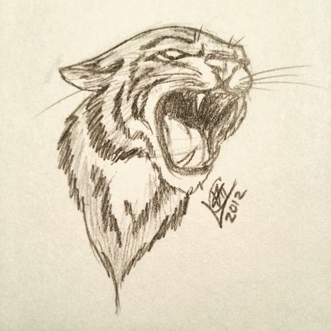 Wildcat Tattoo Ideas, Tiger Drawing Aesthetic, Drawing Ideas Tiger, Tiger Drawings Easy, Bob Cat Drawing, Tiger Sketch Easy, Easy Tiger Drawing Simple, Wild Animals Drawing Sketch, Tiger Drawing Reference