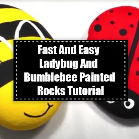 Fast And Easy Ladybug And Bumblebee Painted Rocks Tutorial art diy diy crafts do it yourself videos diy and crafts diy rock painting diy crafts for 2022 diy 2022 crafts diy ideas for 2022 Bumblebee Rock Painting, Bumblebee Painted Rocks, Paint Ladybugs, Cute Animal Crafts, Lady Bug Painted Rocks, Bee Rocks, Pipe Cleaner Animals, Ladybug Rocks, Flying Creatures