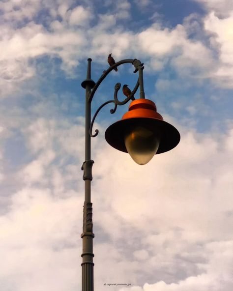 Even the birds know how to catch a little light✨🐦 sky's the limit.🌬️💌 [ Sky , sky is the only limit , birds , serenity Janeshwar mishra park , lucknow , city of nawabs ] . .. . . #sky #serenity #explore #janeshwarmishrapark #lucknow #cityofnawabs #skyisthelimit #instagram #incredibleindia #indiakaanari #peaceful #uttarpradeshtourism #uttarpradesh #godcreation #nature #photooftheday #instadaily #photographer #photography Lucknow City, Gods Creation, Uttar Pradesh, Incredible India, Photographer Photography, The Birds, Tourism, Birds, Photographer