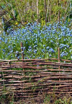 Diy Garden Edging, Raspberry Canes, Garden Fences, Sacred Garden, Patio Layout, Garden Border, Pretty Garden, Indoor Herb Garden, Patio Landscaping