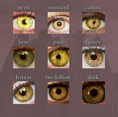 Rare Eye Colors, Eye Color Chart, Rare Eyes, Beautiful Eyes Color, Writing Characters, Writing Inspiration Prompts, Book Writing Inspiration, On Writing, Aesthetic Eyes