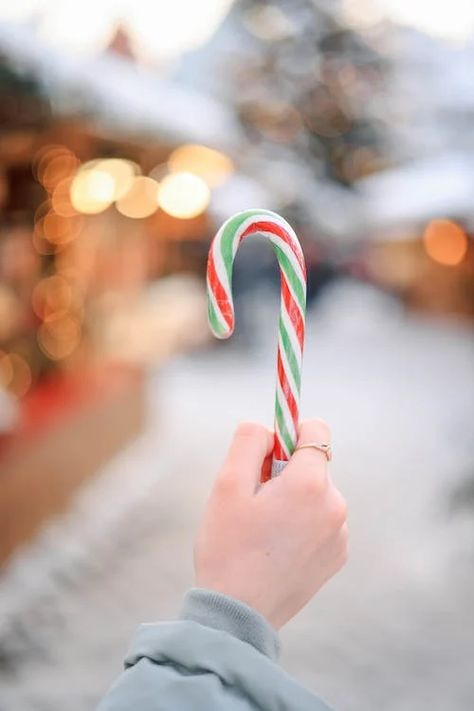 A Person Holding a Candy Cane · Free Stock Photo Candy Cane Christmas, Winter Photoshoot, Hand Holding, Christmas Candy Cane, Christmas Images, Holiday Joy, Free Photos, Candy Cane, Free Stock Photos