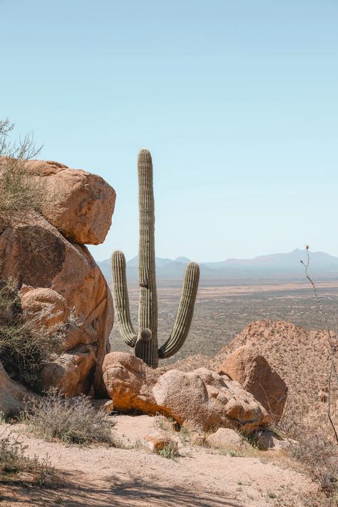 Desert Aesthetic, Saguaro National Park, Desert Dunes, 8 Mile, Wilde Westen, Western Landscape, Desert Dream, Ghost Story, Desert Vibes