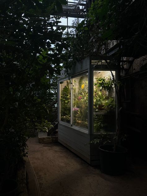 #greenhouse #conservatory #core Greenhouse Conservatory, Botanical Garden, Botanical Gardens, Dark Aesthetic, Moscow, The Old, Old Things