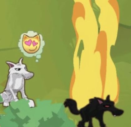 Animal Jam Icon, Animal Jam Classic, Animal Jam Memes, Cute Text Quotes, Animal Jam, Really Funny Pictures, Cutie Patootie, Pluto The Dog, Cat Memes