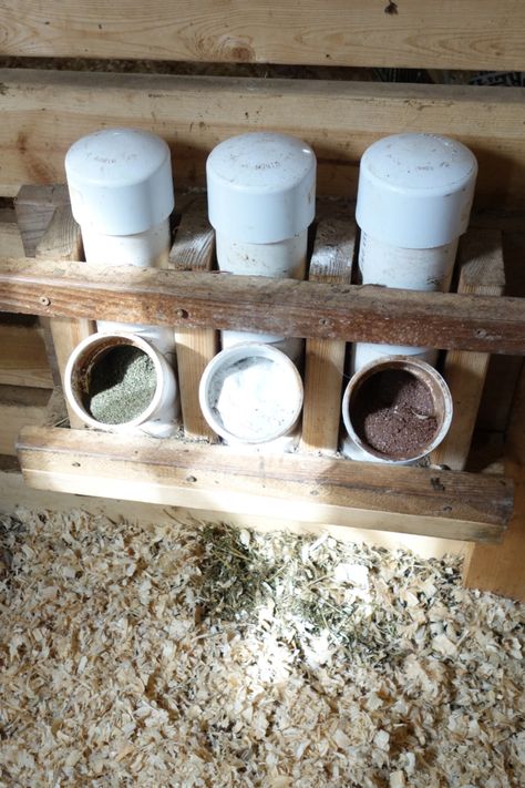 Goat Pen Layout, Goat Grain Feeder Ideas, Grain Feeder For Goats, Goat Setup, Farm Animals Horses, Diy Goat Pen Fence, Goat Feeding Ideas, Goat Pens Ideas, Small Goat Pen Ideas