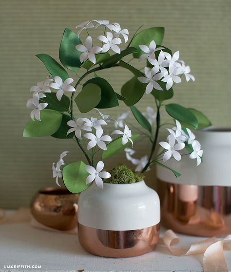 Make this gorgeous potted paper jasmine plant by Lia Griffith using our metallic text weight paper! Simple to craft with stunning results. Mini Crafts, Jasmine Plant, Paper Wall Hanging, Simple Wall Decor, Paper Plants, Beautiful Flowers Photography, Paper Diy, Jasmine Flower, Crepe Paper Flowers