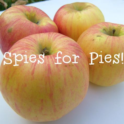 Where to Find Northern Spy Apples in Michigan - Eat Like No One Else Low Histamine, Favorite Pie, Apple Orchard, Apple Recipes, Why People, Apples, Find It, Travel Inspiration, Michigan