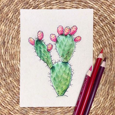 Nopal Drawing, Prickly Pear Tattoo, Prickly Pear Cactus Tattoo, Desert Flowers Drawing, Prickly Pear Cactus Tattoo Traditional, Prickly Pear Cactus Drawing, Pear Drawing, Boat Painting Abstract, Prickly Pear Flowers