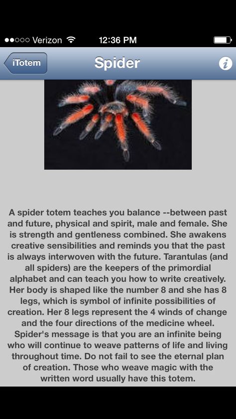 Meaning of spider totem, if you see spiders often read this Spider Totem Meaning, Spider Omen Meaning, Spider Symbolism Meaning, Seeing Spiders Meaning, Spider Spirit Animal, Astral Spiders, Spider Spiritual Meaning, Spider Medicine, Spider Meaning