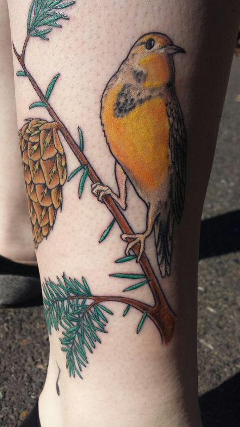 Western Meadowlark and Douglas Fir tattoo. Done by Erick at Pussycat Tattoo in Milwaukie, Oregon. Western Meadowlark Tattoo, Douglas Fir Tattoo, Meadowlark Tattoo, Milwaukie Oregon, Creature Tattoo, Respect Tattoo, Oregon Tattoo, Western Meadowlark, Red Wing Blackbird