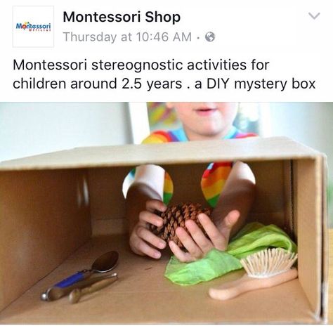 Sense Of Touch Activities, Touch Activities, September Preschool Themes, Toddler Montessori Activities, Sense Organs, September Preschool, Kindergarten Stem, Senses Activities, Montessori Practical Life