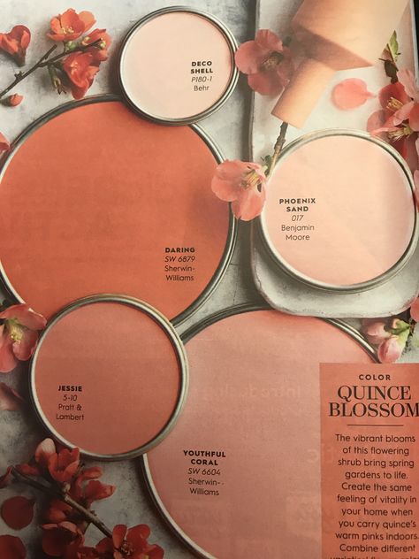 Light Terracotta Accent Wall, Boho Tan Paint Colors, Peach And Tan Bedroom, Desert Pink Bathroom, Boho Cream Paint Colors, Peach Boho Living Room, Clay Pink Color Palette, Terra Cotta Pink Color Palettes, Coral Powder Room