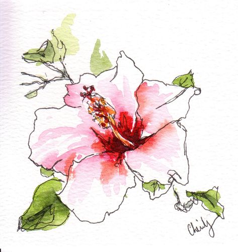 I was drawn to the contrast in this hibiscus flower with its vibrant dark center against the light pink seemingly delicate pedals.  Original watercolor pen and ink line and wash painting. This is not a print! Medium: watercolor pen and ink Substrate:  artist grade 140lb smooth bright white watercolor paper Image size: 4" x 4" Paper size: 4" x4" Hand drawn and painted All line and wash paintings are signed on the front and signed and dated on the back. Certificate of authenticity in included This Ink And Wash Watercolors, Hibiscus Flower Watercolor, Watercolor And Ink Flowers, Line And Wash Watercolor, Hibiscus Watercolor, Tangled Painting, Pink Hibiscus Flower, Line And Wash, Abstract Watercolor Flower