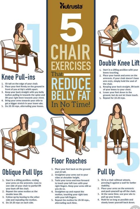 Gymnema Sylvestre, Seated Exercises, Chair Exercises, Ankle Injury, Chair Yoga, Mobility Exercises, Senior Health, Lower Belly, Senior Fitness