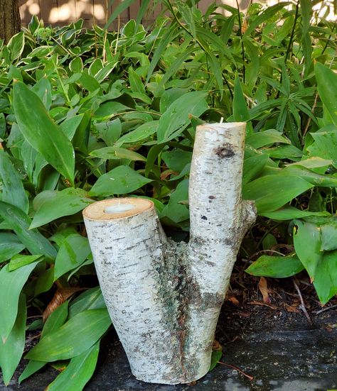 Birch bark candles