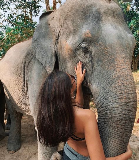 Riding Elephants, Elephant Jungle, Thailand Pictures, Josefine H J, Thailand Elephants, Voyage Bali, Thailand Vacation, Thailand Photos, Chiang Mai Thailand