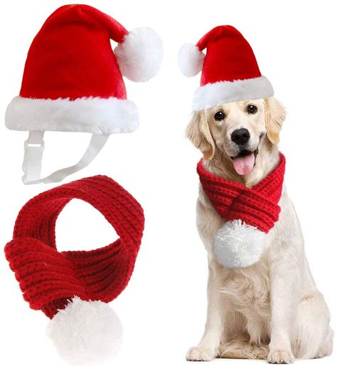 33 Cool Dog Hats For Dogs Of All Shapes And Sizes! Cat Christmas Outfit, Santa Scarf, Dog Santa Hat, Hat With Scarf, Santa Cap, Dog Xmas, Dog Winter, Christmas Scarf, Red Scarf