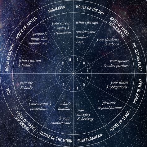 BEYOND THE HOROSCOPE: ALL ABOUT THE 12 HOUSES - Astrology Hub Zodiac Houses, Astrology Houses, Astrology Meaning, Zodiac Wheel, Birth Chart Astrology, Learn Astrology, Tarot Astrology, The Great, Astrology Numerology