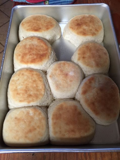 Yeast Biscuits Homemade, Cat Head Biscuits Recipes, Fluffy Baking Powder Biscuits, Self Rising Flour Biscuits 2 Ingredients, Easy Biscuit Recipe All Purpose Flour, Quick Biscuit Recipe All Purpose Flour, Yeast Recipes, Mayo Biscuits Self Rising Flour, Yeast Biscuits