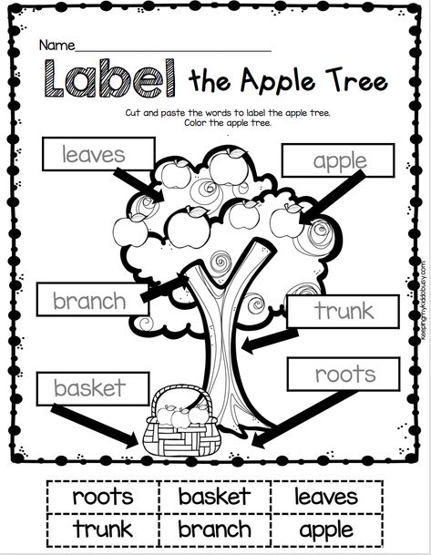 LABELING - Kindergarten Label the Apple Tree worksheet - literacy center for back to school in Spetember #kindergarten #backtoschool #labeling Tree Kindergarten, Fall Prek, Tree Worksheet, Apple Kindergarten, Apple Week, Apple Lessons, Fluency Passages, Apple Unit, Apple Activities