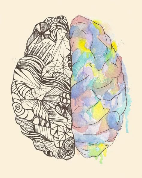 Brain Psychology Art, Psychology Art Drawing, Psychology Art Illustrations, Psychology Drawing, Science Art Drawings, Brain Hemispheres, Brain Drawing, Brain Art, Color Drawing