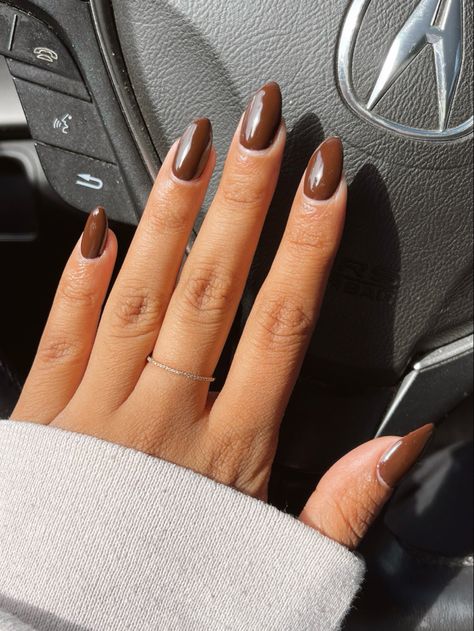 Walnut Brown Nail Color, Plain Brown Nails Almond, Dnd 052 Walnut Brown, Plain Brown Nails Acrylic, Fall Nail Colors 2023 Almond Shape, Brown Dip Nails Almond, Dnd Walnut Brown Nails, Fall 2023 Nails Almond, Dnd Gel Brown