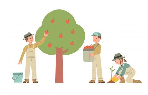 Planting Fruit, Picking Apples, Fruit Seeds, Fruit Illustration, Fruit Plants, On The Farm, Flat Illustration, The Farm, A Group