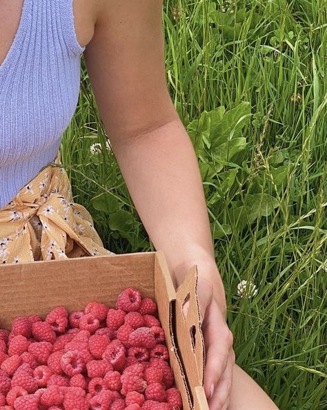 Wwoofing Aesthetic, Raspberry Torte Strawberry Shortcake Aesthetic, Raspberry Girl Aesthetic, Raspberry Picking Aesthetic, Rasberries Aesthetic, Fruit Picking Aesthetic, Raspberry Torte Aesthetic, Berry Picking Aesthetic, Raspberries Aesthetic