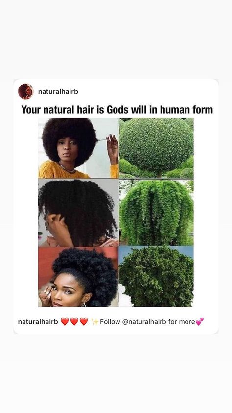 Coily Hairstyles, Natural Hair Growth Tips, Afro Curls, Natural Hair Products, Quick Natural Hair Styles, Goddess Braids Hairstyles, Protective Hairstyles Braids, Wavy Hairstyles, Curly Hair Styles Easy