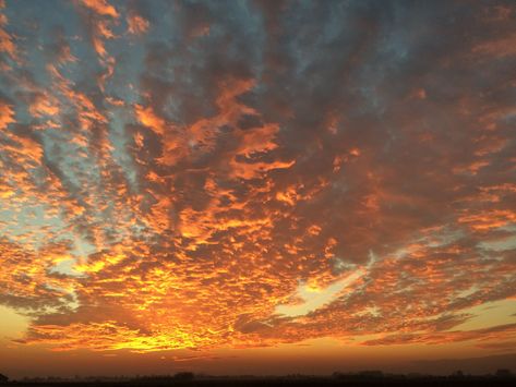 Just some beautiful sunset clouds :) — Steemit Sunset Clouds Aesthetic, Sunset Tumblr, Urban Scenery, Clouds Watercolor, Cloud Paintings, Cloud Template, Pretty Clouds, Dreamy Clouds, Sunrise Clouds