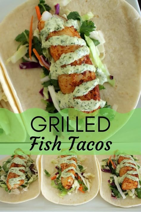 Fresh Fish Tacos, Citrus Slaw, Best Fish Taco Recipe, Taco Board, Fish Tacos With Cabbage, Soft Tortillas, Bbq Fish, Grilled Fish Tacos, Salmon Tacos