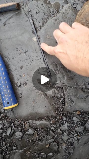 Dr Dean Lomax on Instagram: "A pterosaur wing bone or a super long belemnite? 🤔

This is a cool, very delicate Jurassic belemnite called Youngibelus tubularis. It is around 180 million years old.

I spotted this one whilst collecting fossils near Whitby, along the Yorkshire Coast. I've been collecting these since about the age of 14, and finding them is always fun.

What you’re looking at is the rostrum or guard of the belemnite, the hard internal structure. The reconstruction is by @nobumichi.tamura , originally created for my first book, 'Fossils of the Whitby Coast'.

#fossil #fossils #fossilhunter #paleontology #palaeontology #paleontologist #nature #jurassic #dinosaur #jurassicpark #prehistoric #ammonite #geology #fossilhunting #belemnite #squid #yorkshirecoast" Yorkshire Coast, Rock Collecting, Fossil Hunting, Fossil Bones, Jacksonville Beach, Rock Collection, Jurassic Park, Geology, Yorkshire