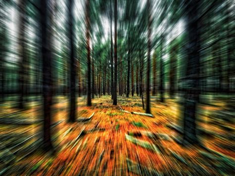 Zoom burst through a forest in Autumn Slow Shutter Speed Photography, Distortion Photography, Rural Photography, Environment Photography, Movement Photography, Shutter Speed Photography, Blur Photography, Shutter Photography, Motion Photography