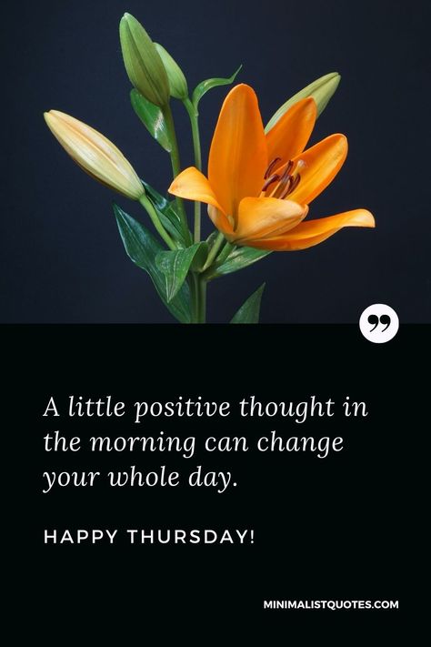 A little positive thought in the morning can change your whole day. Happy Thursday! Thursday Positive Quotes, Happy Thursday Morning, Make Today Count, Happy Thursday Everyone, Happy Thursday Quotes, Good Morning Thursday, Thursday Quotes, Positive Thought, Great Thinkers