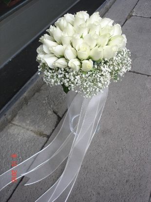 Bride Bouquets Tulips, Graduation Hair, Wedding Flowers Tulips, Simple Wedding Bouquets, White Wedding Decorations, Wedding Dress Bustle, Wedding Bouquets Bride, Symbol Of Peace, Bridal Shower Inspiration