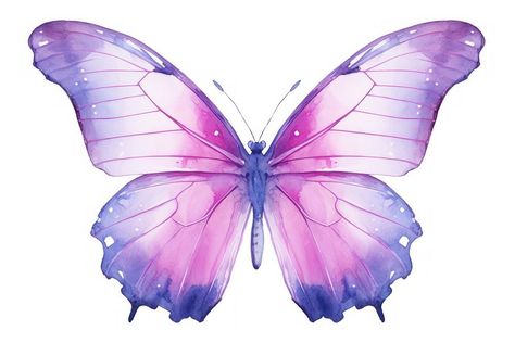 Butterfly insect animal purple. AI generated Image by rawpixel. | premium image by rawpixel.com / Minty Purple Butterfly Aesthetic, Image Of Butterfly, Butterfly Theme Cake, Lilac Aesthetic, Png Butterfly, Butterfly Aesthetic, Animal Body Parts, Aesthetic Butterfly, Butterfly Dragon