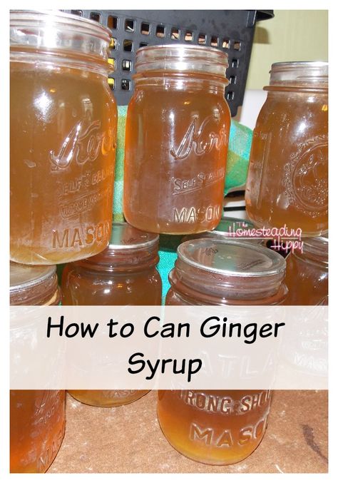 Make a batch of this ginger syrup and can it up for long term storage.  Have it on hand for homemade ginger ale, upset tummies and more! The Homesteading Hippy #homesteadhippy #fromthefarm #preserving #prepared Canning Ginger, Homemade Ginger Ale, Homemade Soda, Canned Food Storage, Ginger Syrup, Homemade Syrup, Home Canning, Jams & Jellies, Ginger Ale