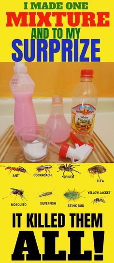 How To Make A Weed Killer That Kills Insects As Well - Grapes and Splendor Natural Bug Killer, Homemade Ant Killer, Diy Bug Repellent, Ant Spray, Kill Roaches, Diy Bug Spray, Bug Spray Recipe, Kill Bugs, Ant Killer