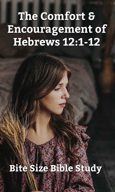 Hebrews 12 offers wonderful advice for us when we are suffering. This short study explains some of the important truths in this passage. Hebrews 12 1, Book Of Hebrews, New Testament Books, Hebrews 12, Proverbs 4, Bible Love, Us When, Different Words, Bible Truth