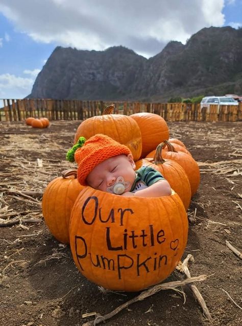 Pumpkin Patch Stroller Costume, 2 Month Pumpkin Pictures, 1 Month Old Pumpkin Pictures, Baby In Pumpkin Ideas, 1 Month Old Halloween Pictures, Baby Pumpkin Pictures Newborn, Infant Pumpkin Patch Pictures, Newborn Pumpkin Patch Pictures, Baby In A Pumpkin Photo Ideas