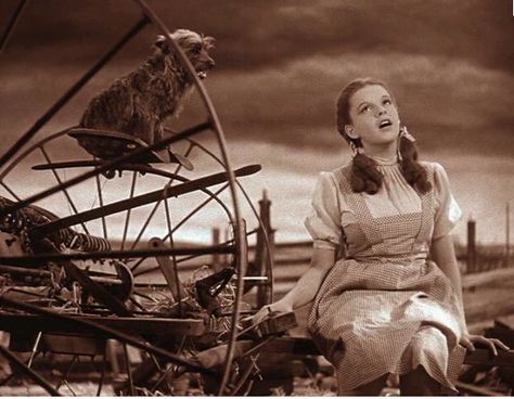 Wizard Of Oz Characters, Wizard Of Oz 1939, The Wonderful Wizard Of Oz, Land Of Oz, Fantasy Films, The Wizard Of Oz, Dump A Day, Movie Themes, Judy Garland