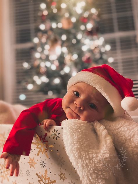 Under The Christmas Tree Photography, 3 Months Christmas Pictures, Christmas Photo 3 Month Old, 2 Month Baby Christmas Picture Ideas, 3 Month Old Christmas Photos, Diy Christmas Cards Photo, 3 Month Christmas Pictures Boy, Baby In Christmas Box Picture, 1 Month Christmas Pictures