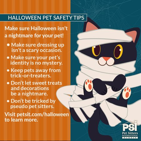 Halloween Pet Safety Tips Halloween Pet Safety, Spoiled Pets, Halloween Safety, Pet Services, Spooky Night, Pet Halloween Costumes, Pet Sitting, Pet Sitters, Halloween Animals