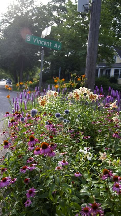 Parking Strip Garden, Sidewalk Landscaping, Modern Decorations, Tools Tattoo, Native Plant Landscape, Tattoo Garden, Dreamy Decor, Garden Tattoo, Garden Retreat