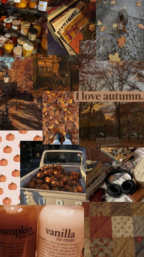 Downtown Autumn, Fall Morning Routine, Cute Fall Wallpaper, Simple Iphone Wallpaper, Autumn Morning, Halloween Wallpaper Iphone, Soft Autumn, Fall Inspo, Fall Feels