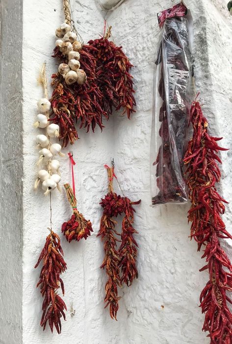 Garlic Hanging, Italian Traditions, Social Butterfly, Southern Italy, Best Oils, Italian Summer, Italian Restaurant, Drying Herbs, Puglia